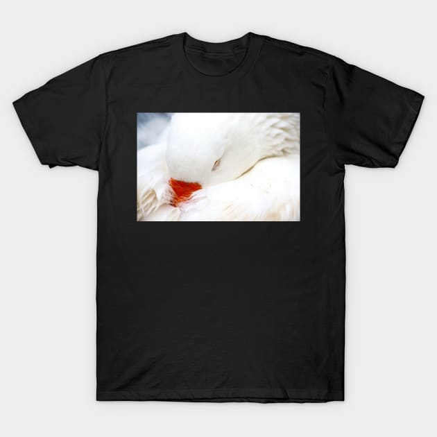 White Goose T-Shirt by ThreeOClock